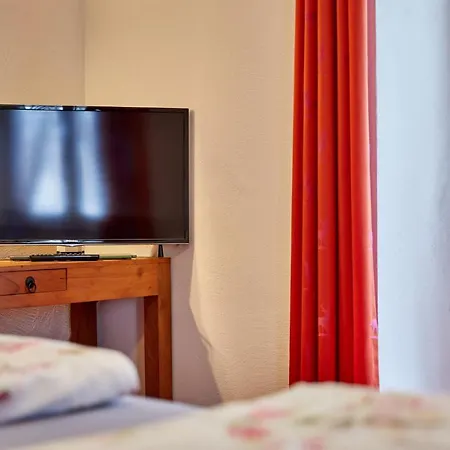 Alpen Gaestehaus 3*