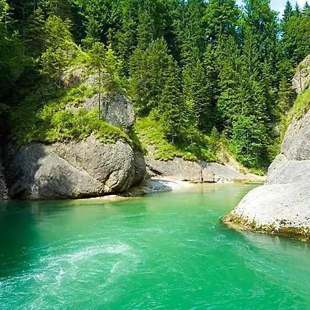 Oda ve Kahvaltı Alpen Gaestehaus